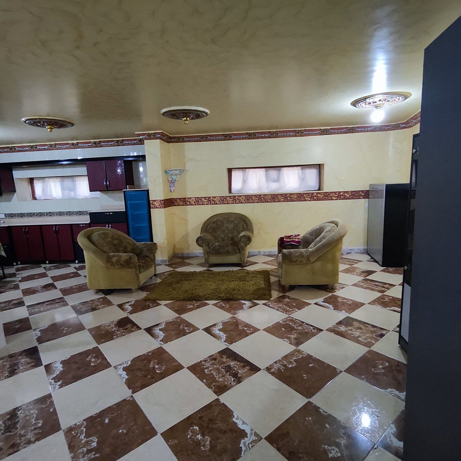 Deluxe Open Studio in Sana'a - الصورة 49