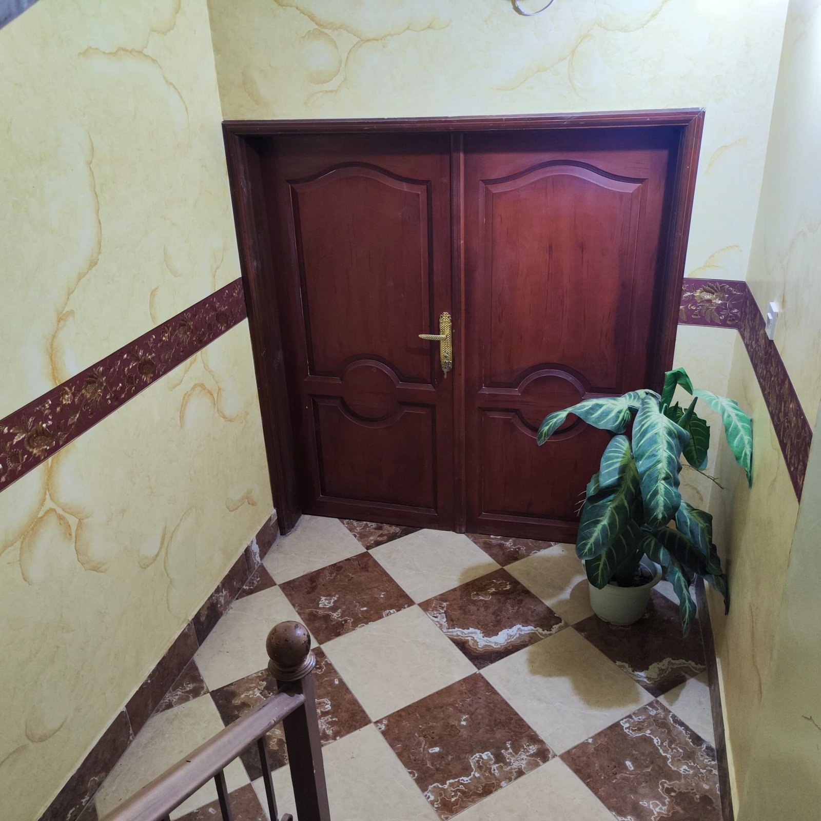 Deluxe Open Studio in Sana'a - الصورة 65